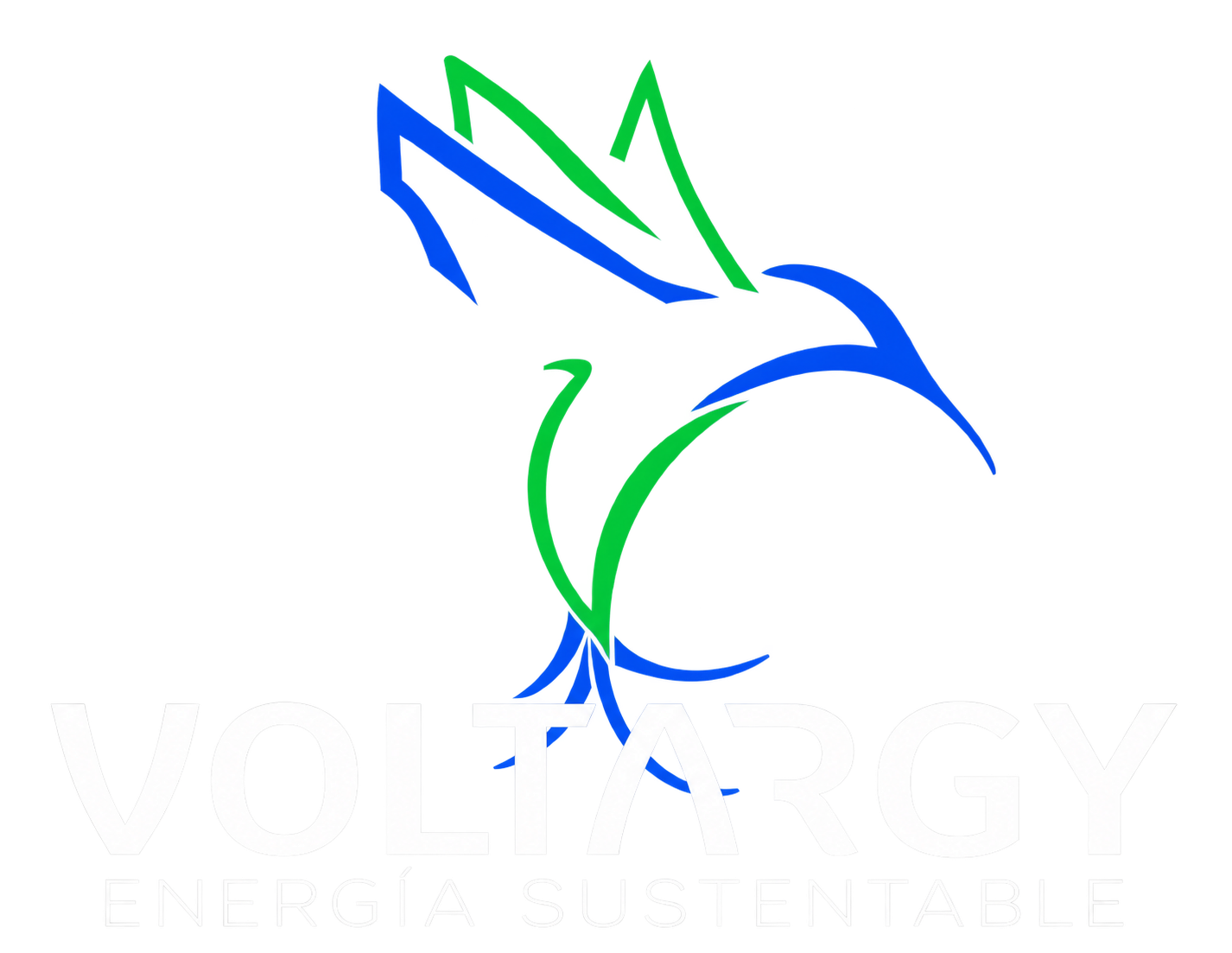 Voltargy