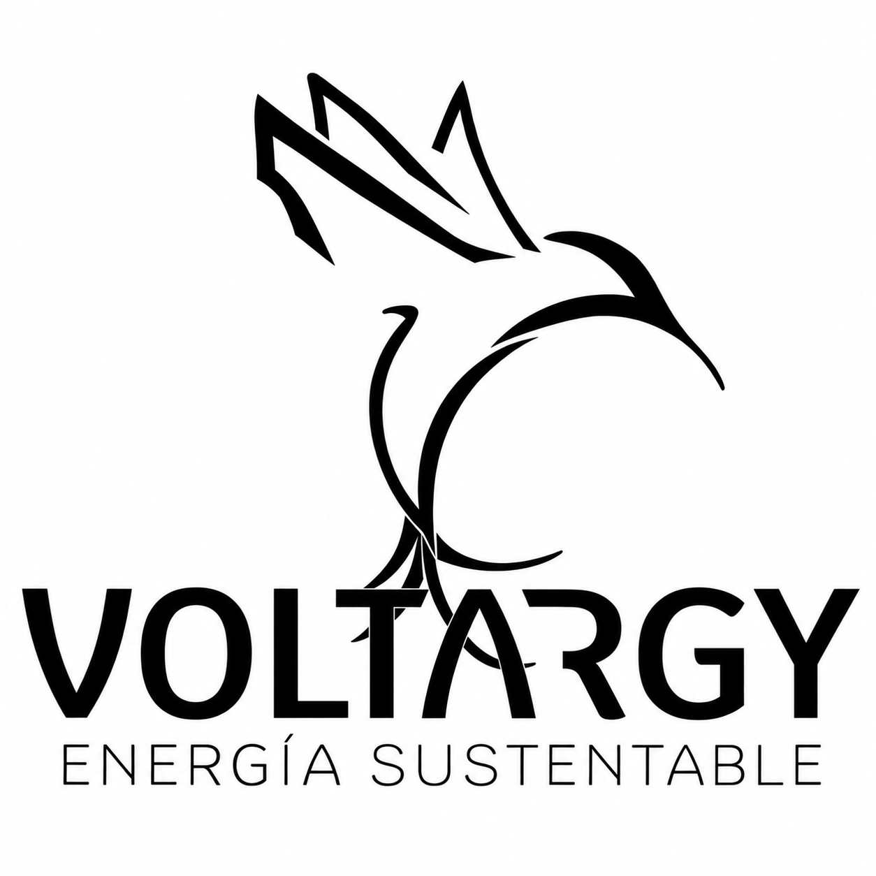 Voltargy · Energía sustentable